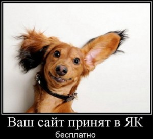 Как бесплатно попасть в Яндекс.Каталог и DMOZ каталог?
